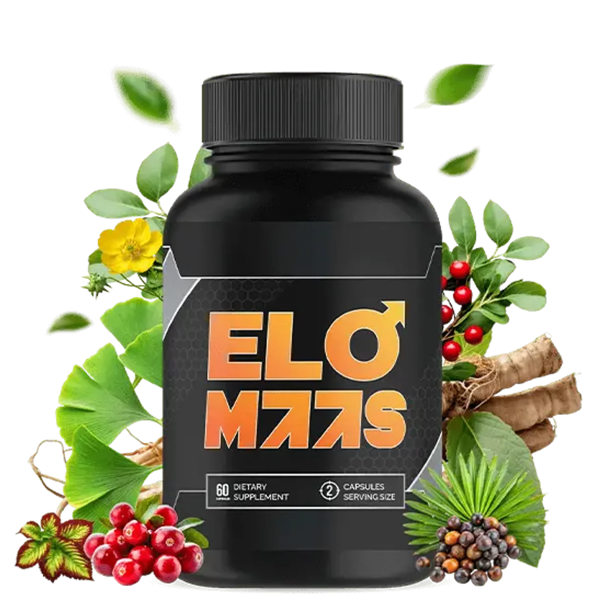 EloMaas bottle